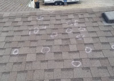 Professional Shingle Roofing