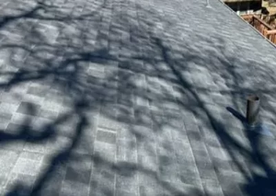 Reliable Shingle Roofing